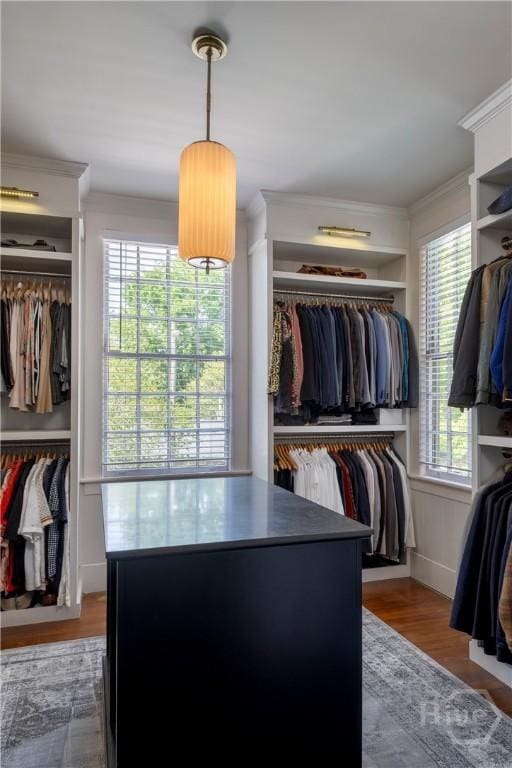56 E 54th St, Savannah, GA 31405 - spacious closet featuring wood finished floors