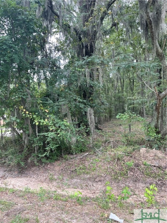 0 Big Hill Rd, Savannah GA, 31408 land for sale