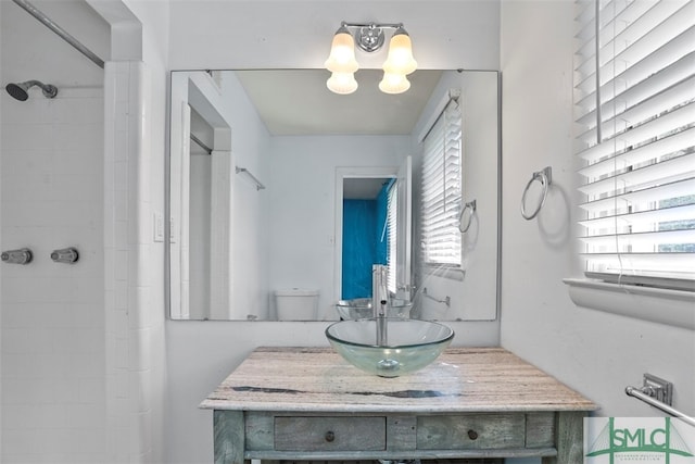 bathroom with toilet and vanity