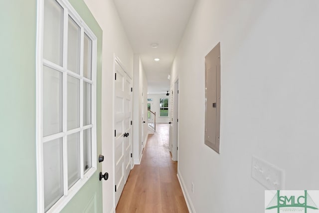 hallway featuring electric panel and light hardwood / wood-style flooring