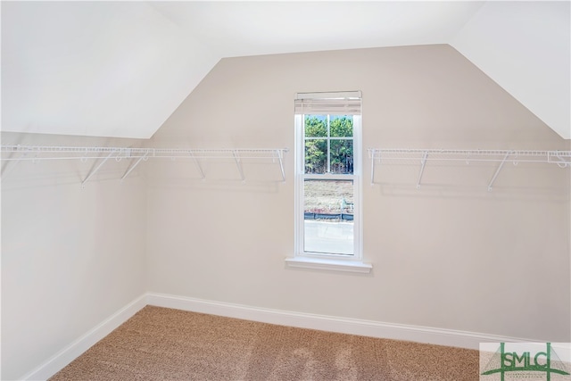 spacious closet featuring carpet floors and vaulted ceiling