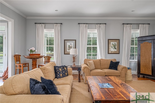 living room with hardwood / wood-style flooring and crown molding