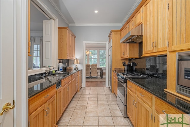 kitchen featuring sink, stainless steel appliances, extractor fan, ornamental molding, and dark stone countertops