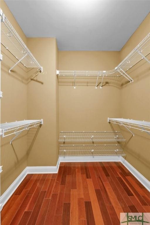 173 Trail Rd S, Midway, GA 31320 - spacious closet featuring wood finished floors