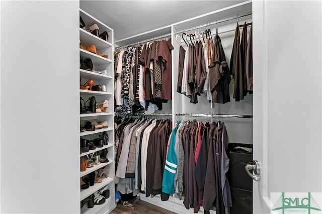 spacious closet featuring wood-type flooring