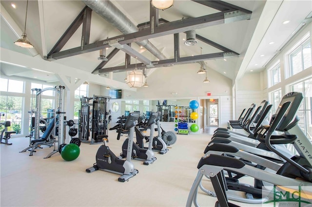 workout area featuring plenty of natural light and high vaulted ceiling