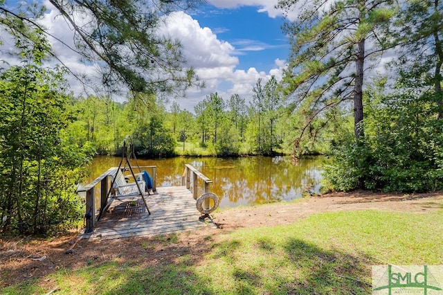 dock area with a water view