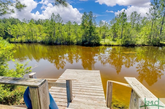 view of dock featuring a water view