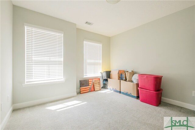 playroom with carpet flooring