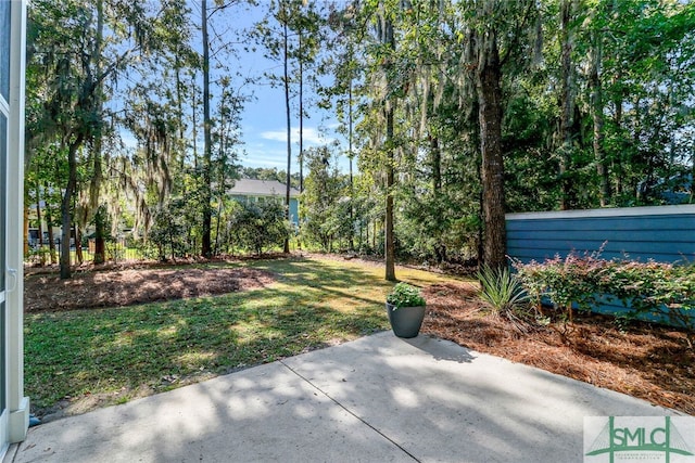 view of yard with a patio area