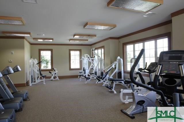 workout area with crown molding and carpet flooring