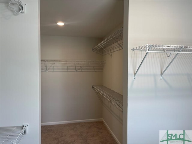 244 Brookline Dr, Savannah, GA 31407 - spacious closet with carpet floors