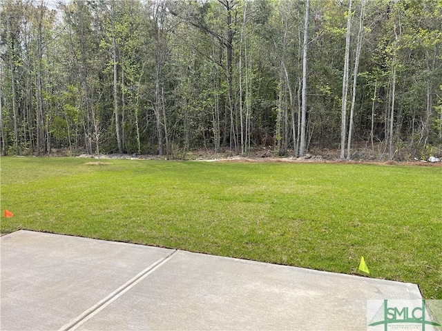 244 Brookline Dr, Savannah, GA 31407 - view of yard