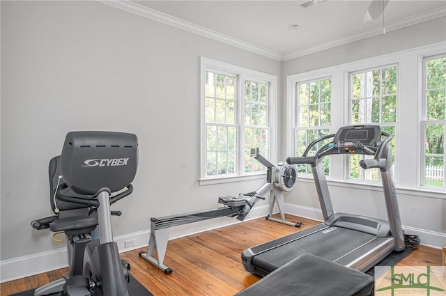 exercise area with a healthy amount of sunlight, crown molding, hardwood / wood-style floors, and ceiling fan