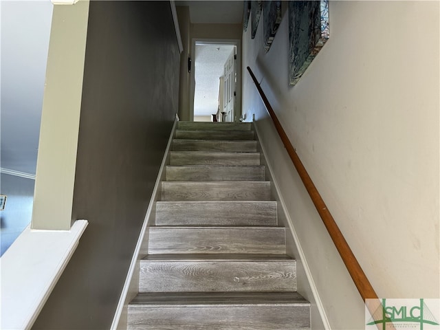 stairway featuring wood-type flooring