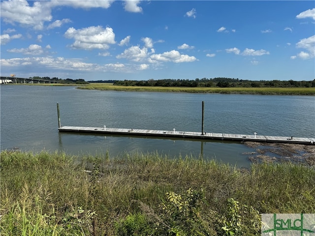 dock area with a water view