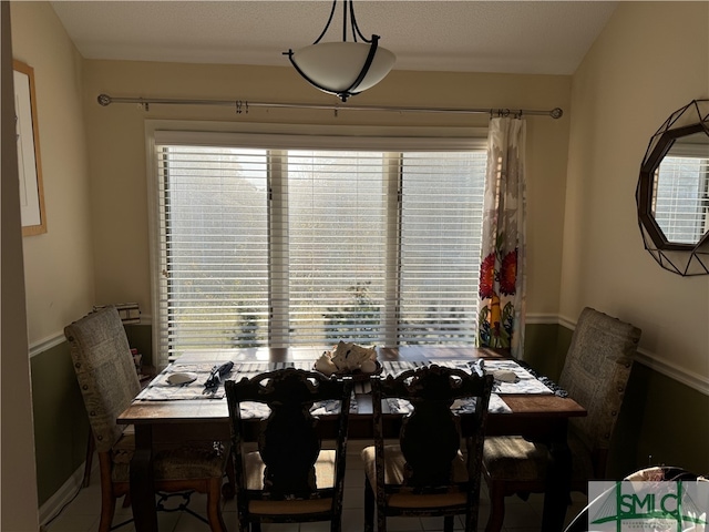 dining space featuring a wealth of natural light