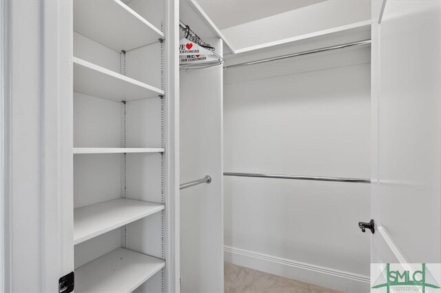 view of spacious closet