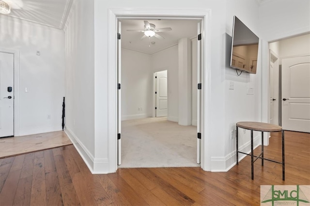 corridor featuring wood-type flooring