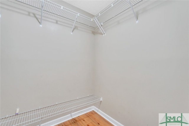 spacious closet with wood-type flooring