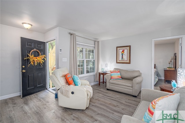 living room featuring light hardwood / wood-style flooring