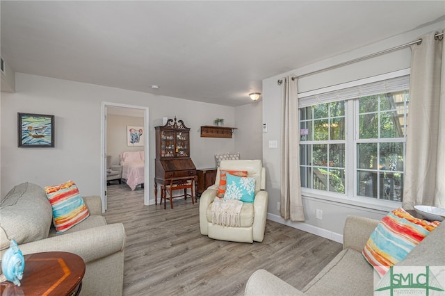 living room with light hardwood / wood-style flooring