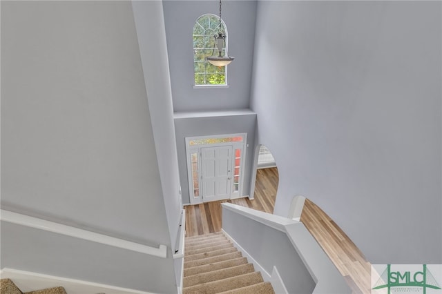 stairs featuring hardwood / wood-style floors