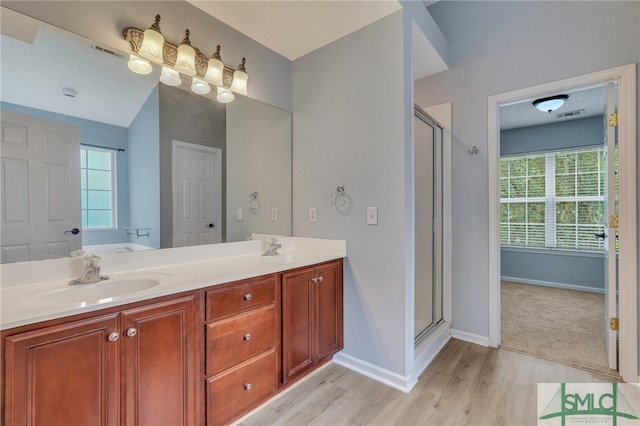 bathroom featuring a healthy amount of sunlight, hardwood / wood-style floors, a shower with door, and vanity