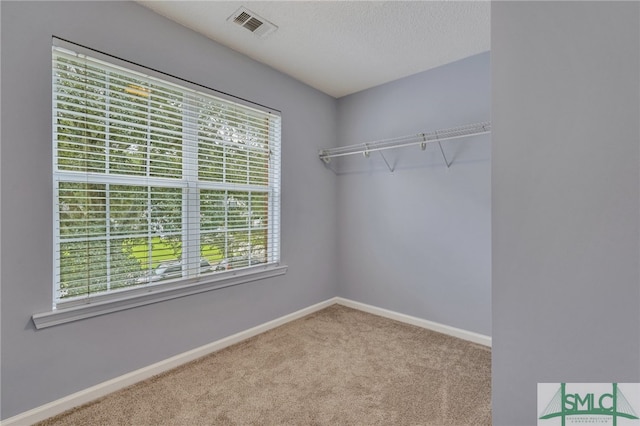 walk in closet with light carpet