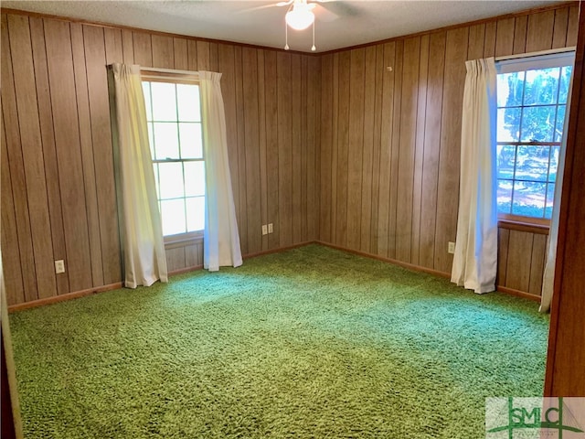 unfurnished room featuring wood walls and carpet