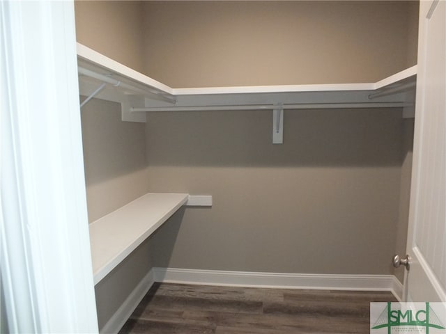 spacious closet with dark hardwood / wood-style floors