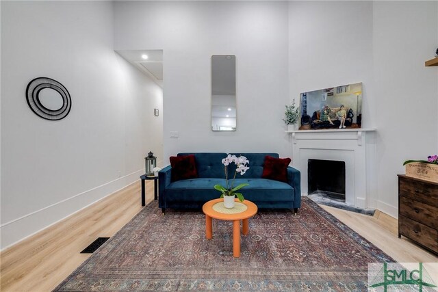 living room with a high ceiling and hardwood / wood-style flooring