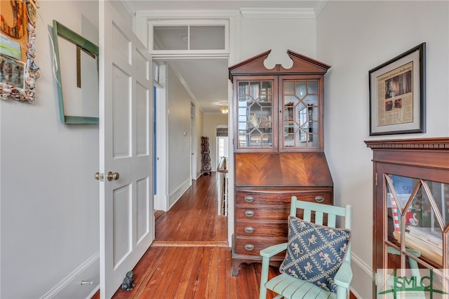 interior space featuring hardwood / wood-style flooring and crown molding