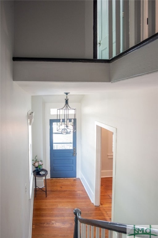 foyer entrance with hardwood / wood-style flooring