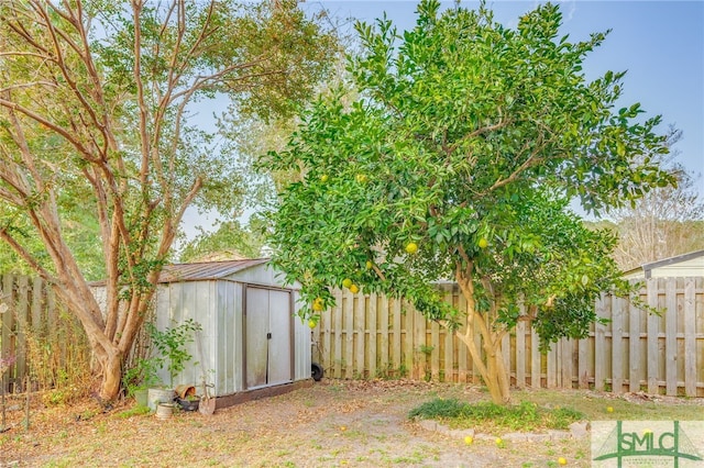 view of yard featuring a storage shed