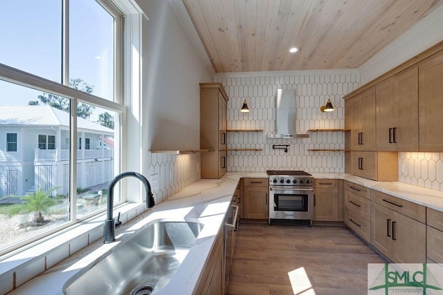 kitchen featuring stainless steel range, wall chimney exhaust hood, a healthy amount of sunlight, and sink