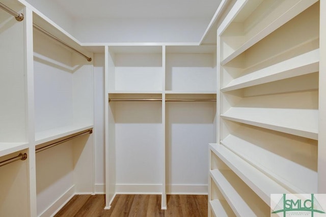 walk in closet with hardwood / wood-style flooring