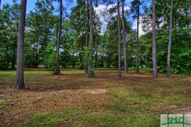 00 Bub Ln, Ellabell GA, 31308 land for sale