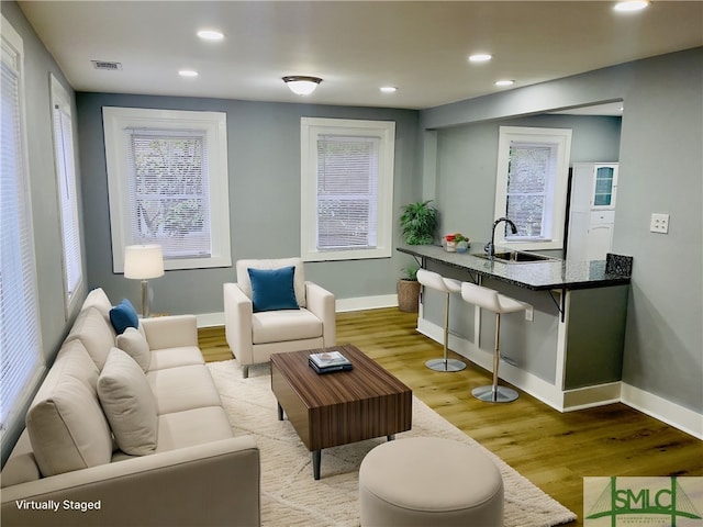 living room featuring light hardwood / wood-style flooring, a healthy amount of sunlight, and sink