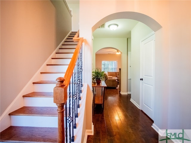 stairway with wood-type flooring