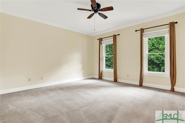 spare room with carpet flooring, ceiling fan, and a healthy amount of sunlight