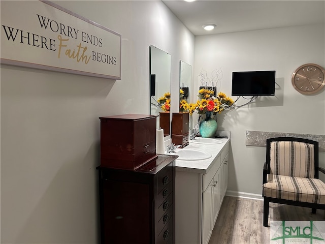 bathroom with vanity and hardwood / wood-style floors