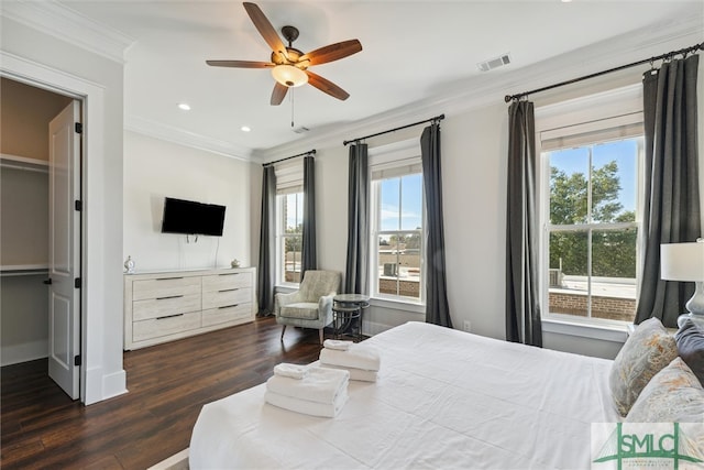 bedroom with ceiling fan, a spacious closet, a closet, dark hardwood / wood-style floors, and ornamental molding