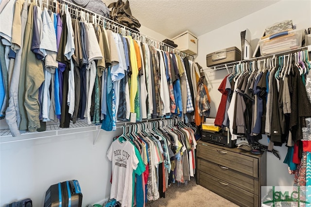 walk in closet featuring carpet flooring