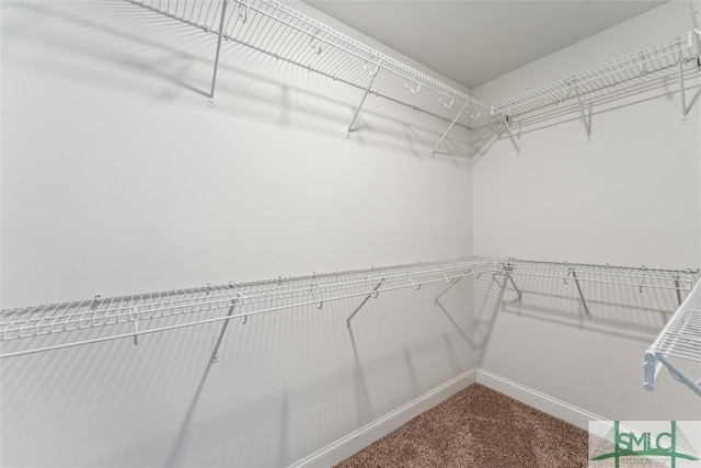 walk in closet with carpet