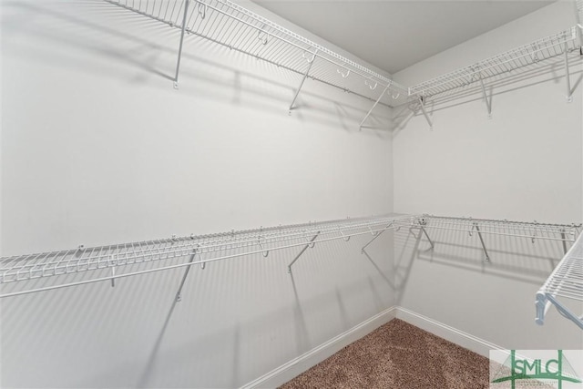 178 Sawgrass Dr, Savannah, GA 31405 - photo 28