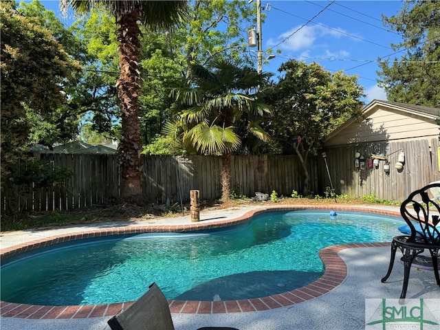 view of swimming pool with a patio