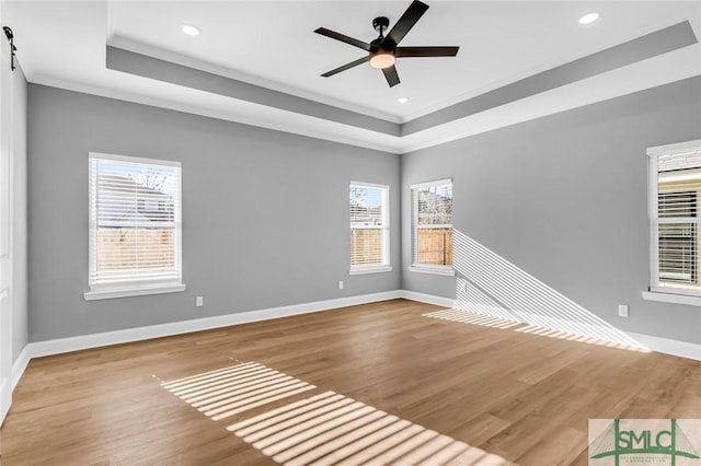 spare room featuring wood-type flooring, a raised ceiling, a wealth of natural light, and crown molding