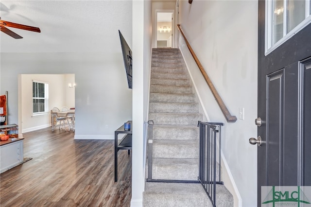 stairway with wood-type flooring, ceiling fan, and a textured ceiling