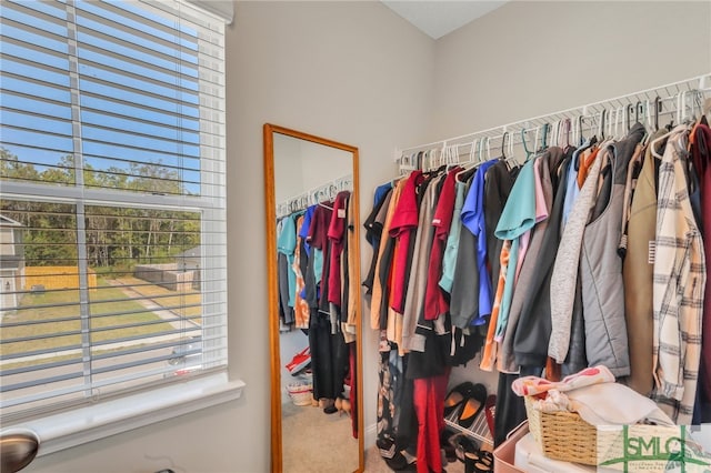 spacious closet with carpet floors